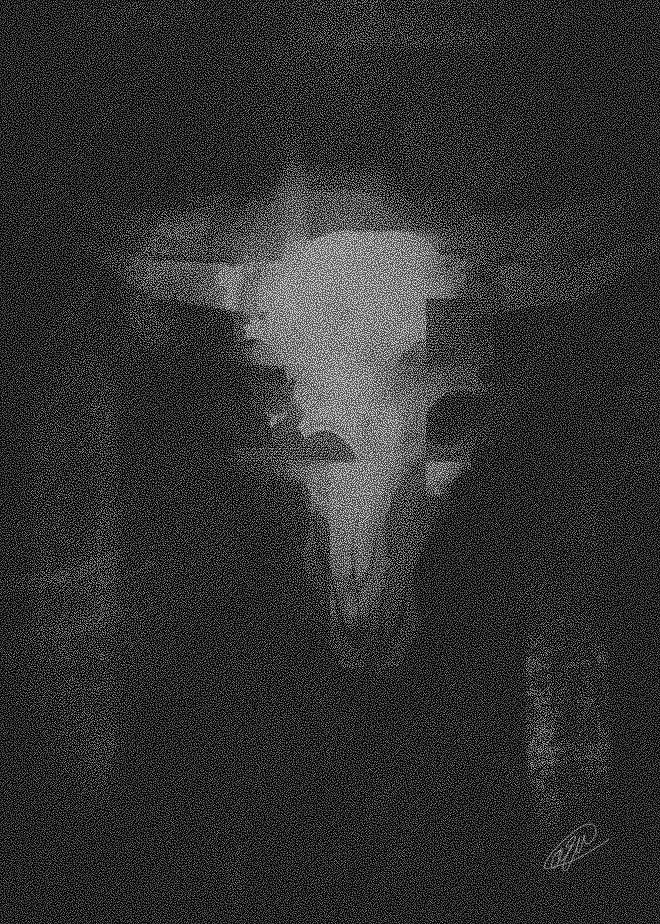 sombra del toro