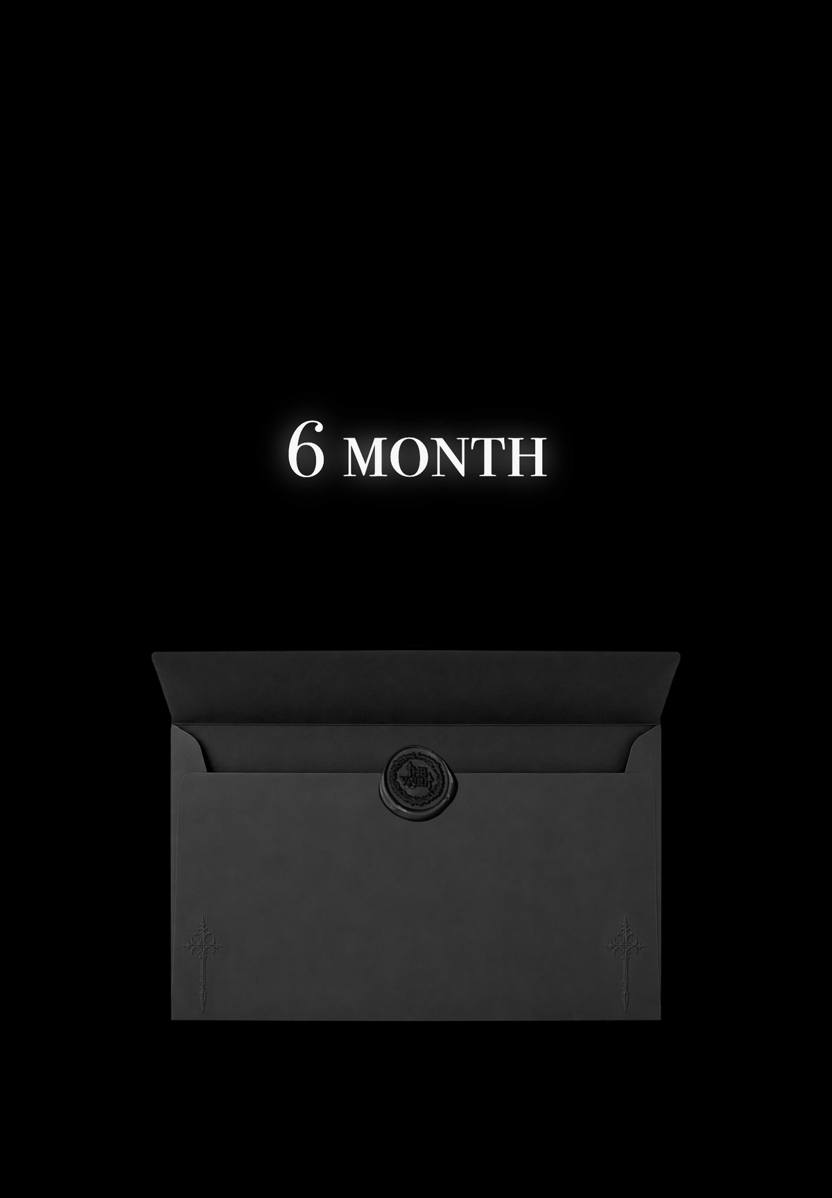 the vault - 6 month supply